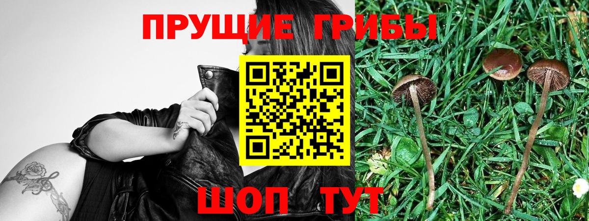 Вичуга  Галлюциногенные грибы Magic Shrooms  купить наркотик  Вход с VPN 