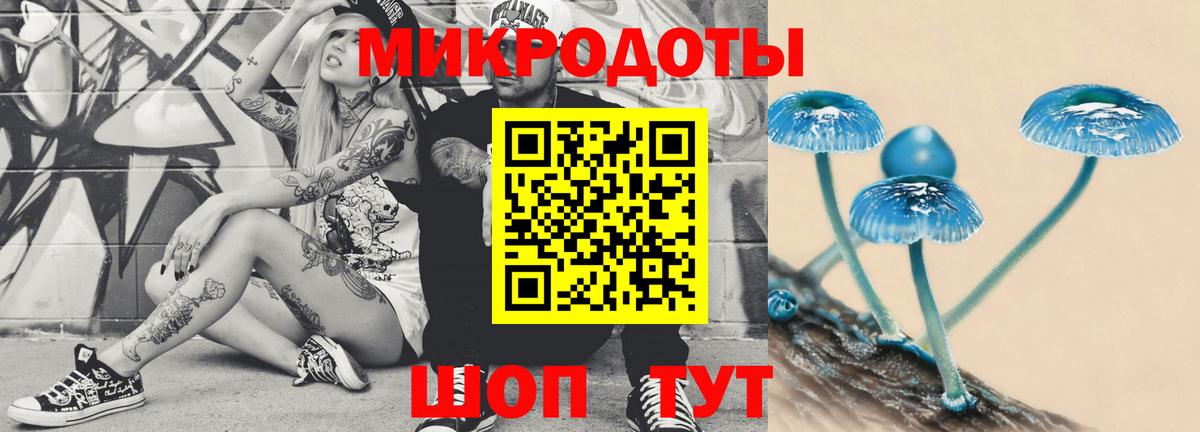 Псилоцибиновые грибы Psilocybe Вичуга